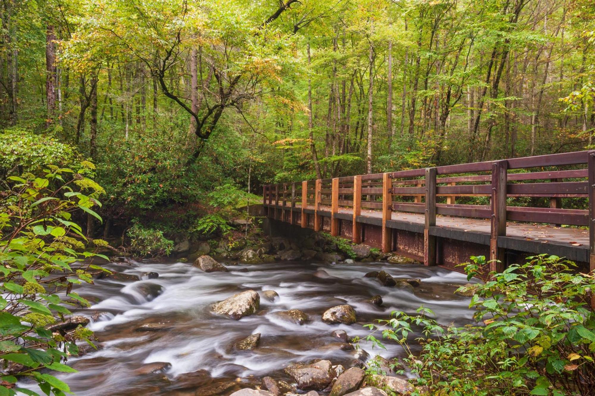 Breathtaking View, Hot Tub, 1089 Of Free Attraction Tickets For Each Paid Day, Dollywood And More! Sevierville Exteriér fotografie