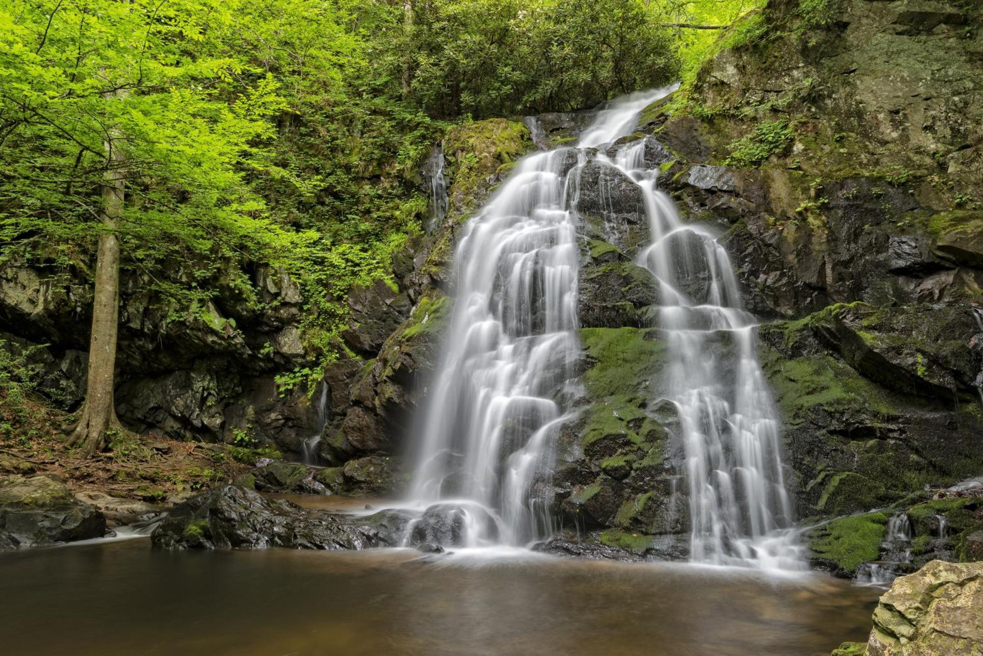 Breathtaking View, Hot Tub, 1089 Of Free Attraction Tickets For Each Paid Day, Dollywood And More! Sevierville Exteriér fotografie